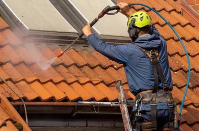 Démoussage et hydrofuge de toiture à Moissat